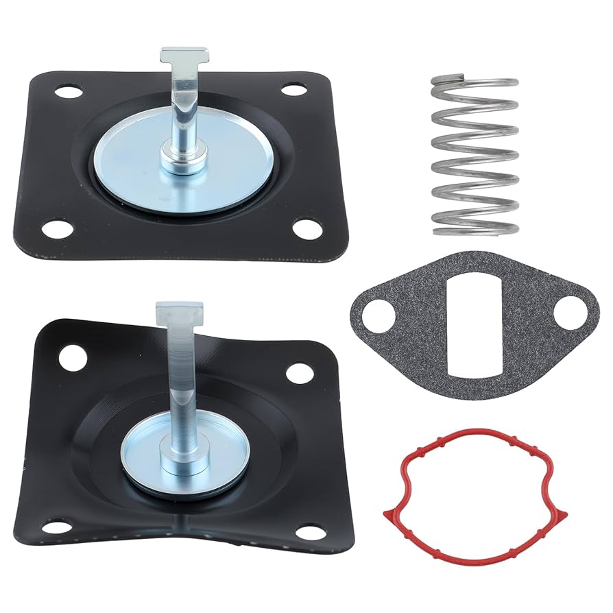 政宗3 Amazon.com: SecosAutoparts 230675 Fuel Pump Rebuild Kit